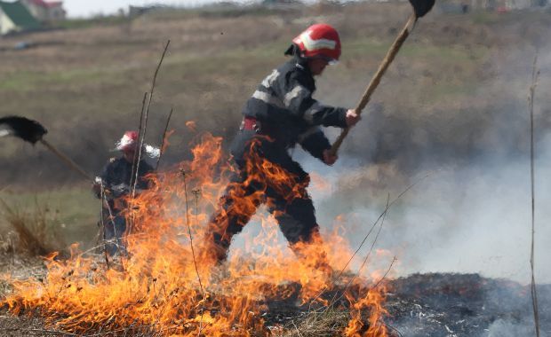 incendiu foc vegetatie